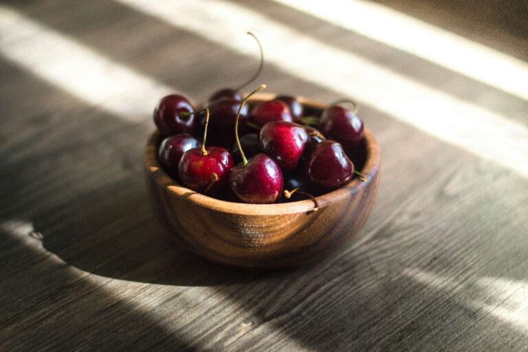 Best Pick Your Own Cherries in Connecticut