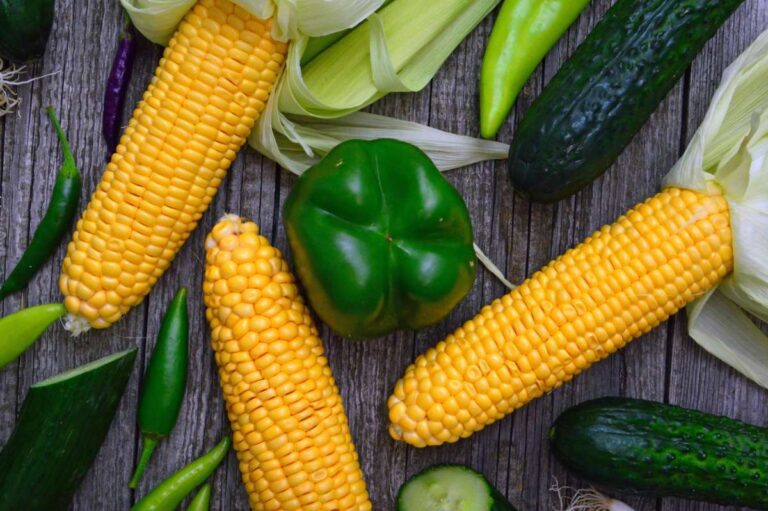 Pick Your Own Sweet Corn Farms